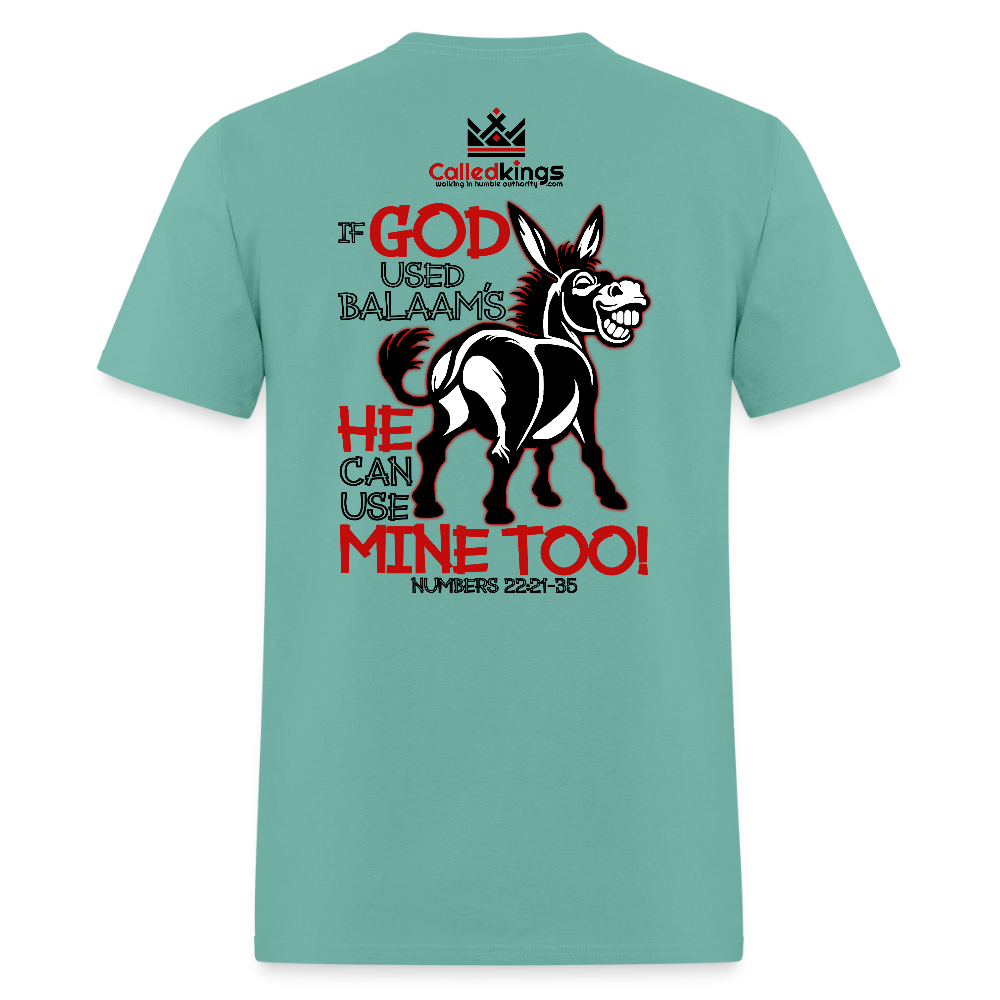 Balaam's Donkey - aquatic