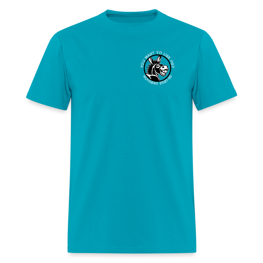 Balaam's Donkey - turquoise