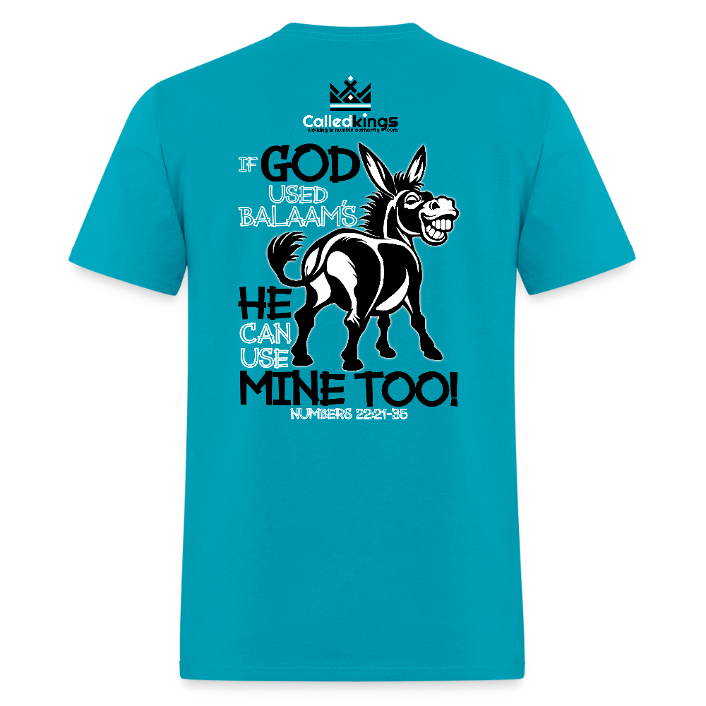 Balaam's Donkey - turquoise