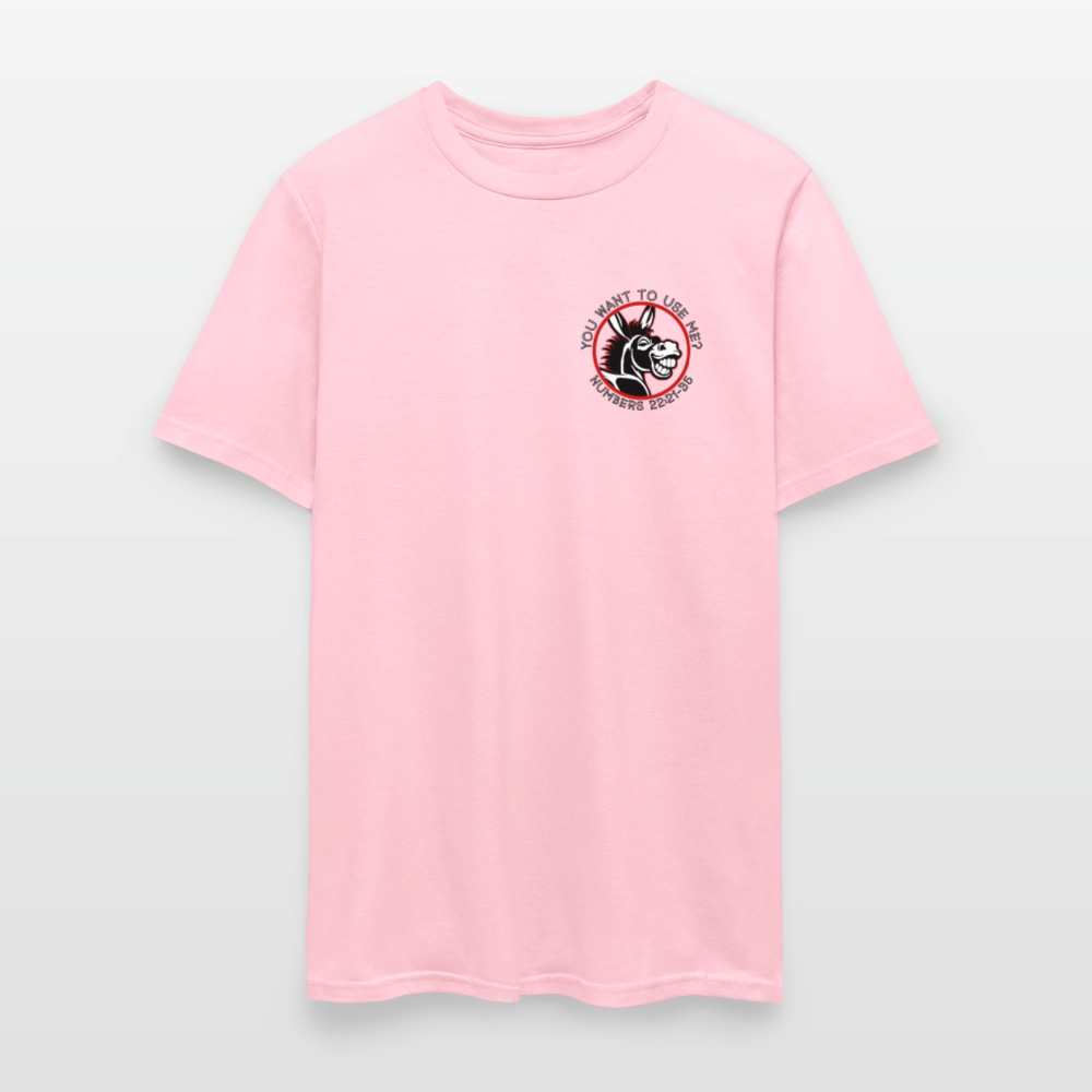 Balaam's Donkey - pink