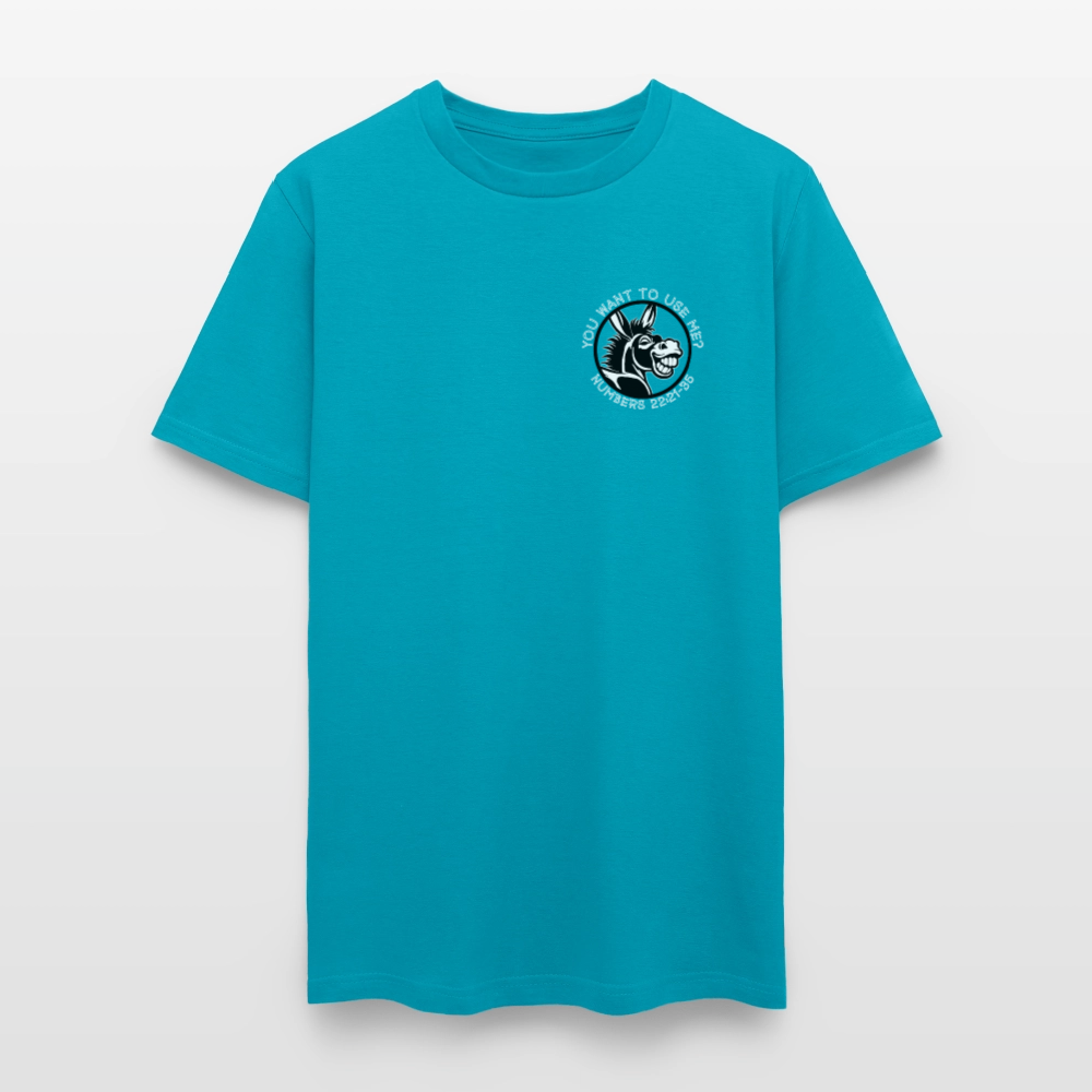 Balaam's Donkey - turquoise