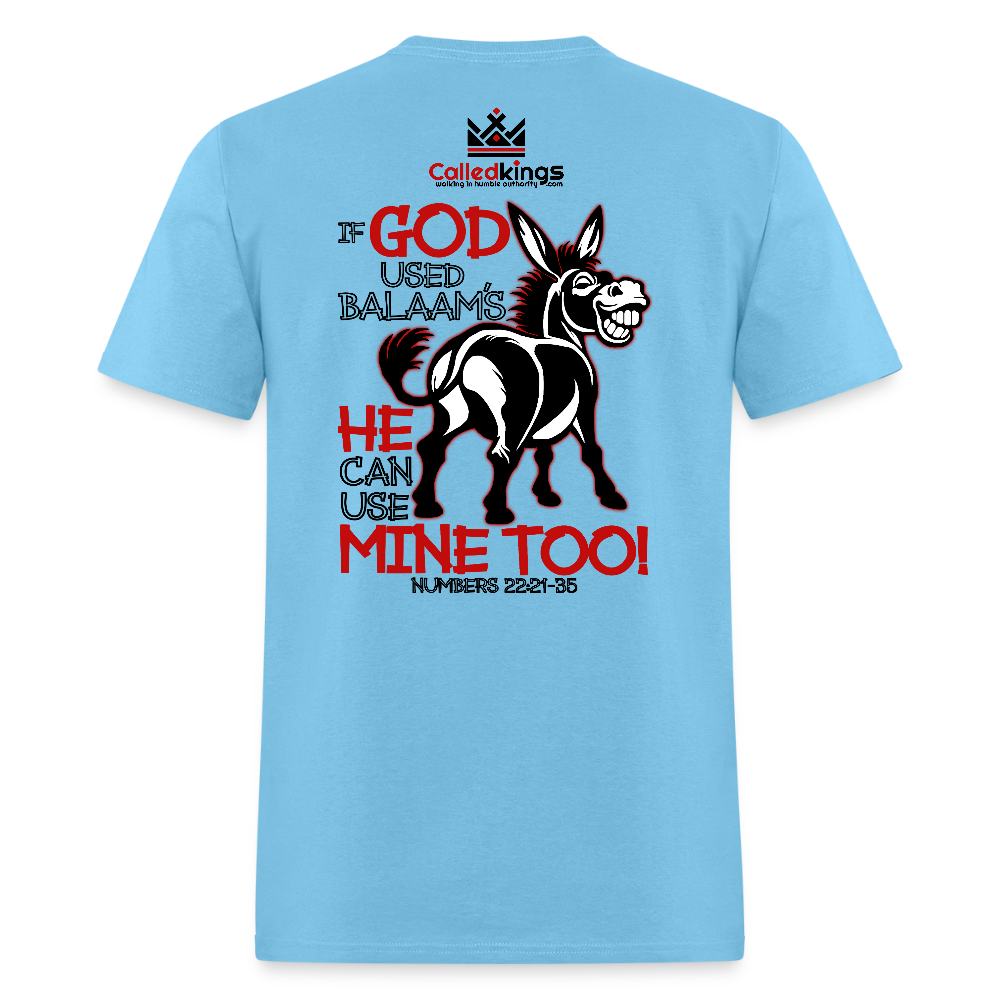 Balaam's Donkey - aquatic blue