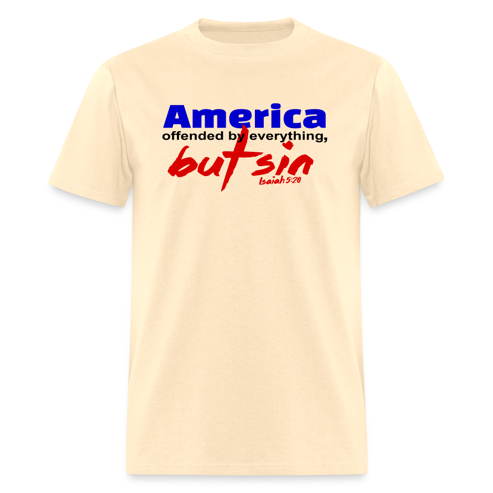 America Offended by Everything But Sin - natural
