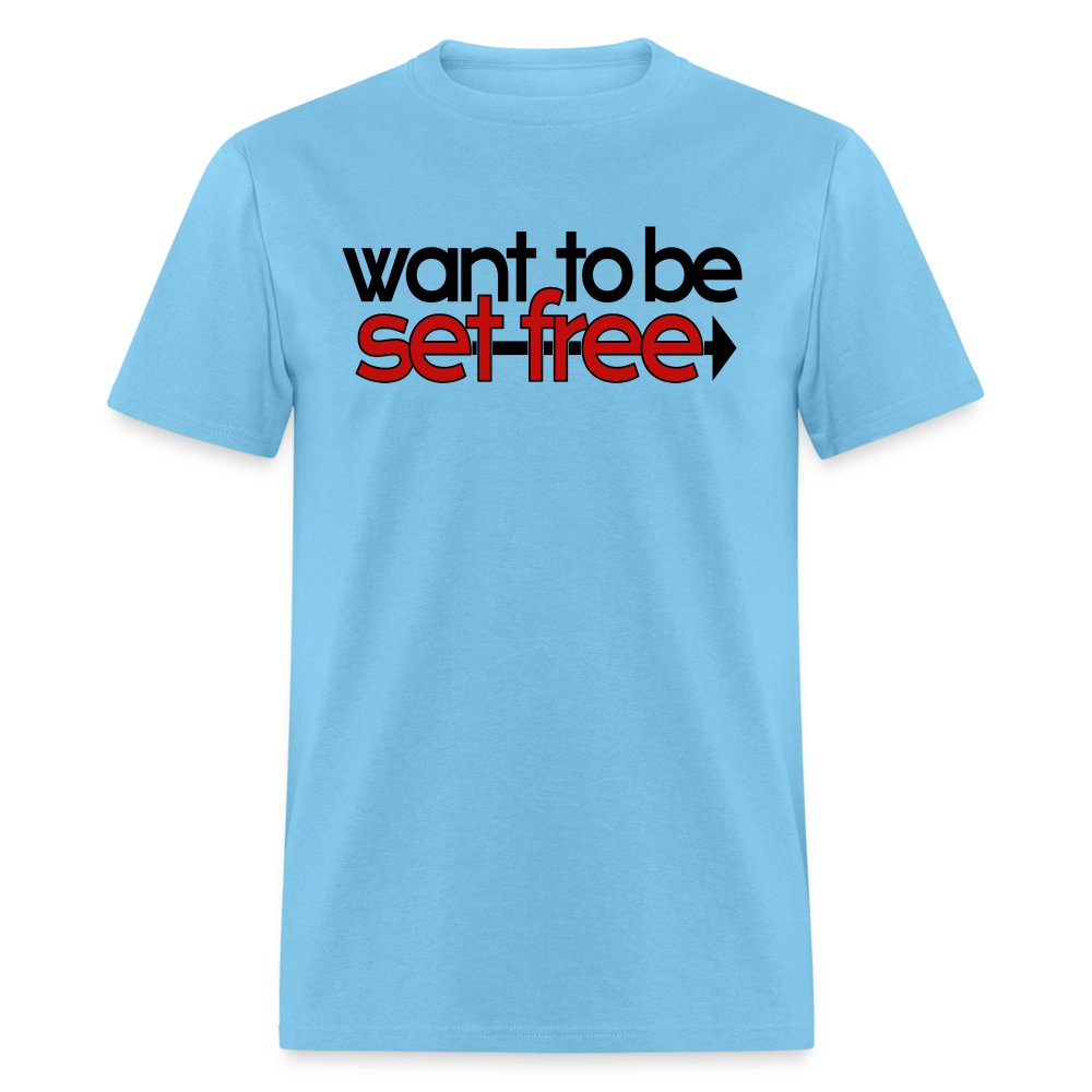 WTBSF? Follow Jesus - aquatic blue