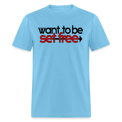 WTBSF? Follow Jesus - aquatic blue