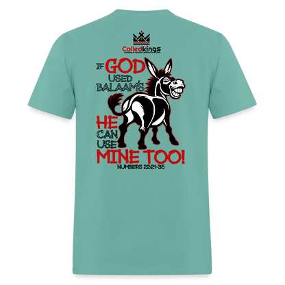 Balaam's Donkey - aquatic