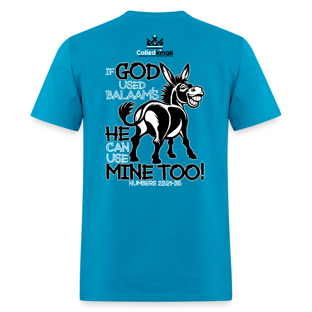 Balaam's Donkey - turquoise