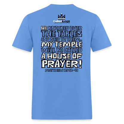 Jesus Flipped - carolina blue