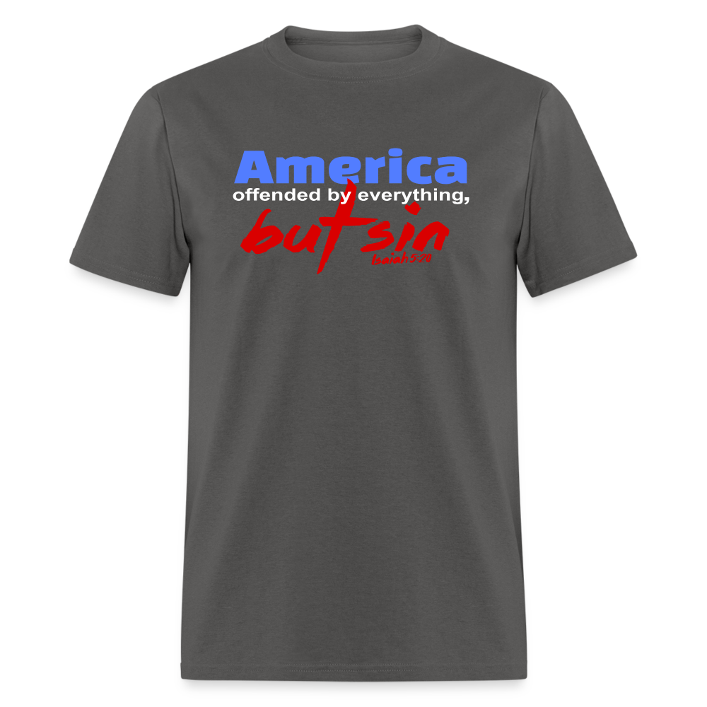 America Offended by Everything But Sin - charcoal