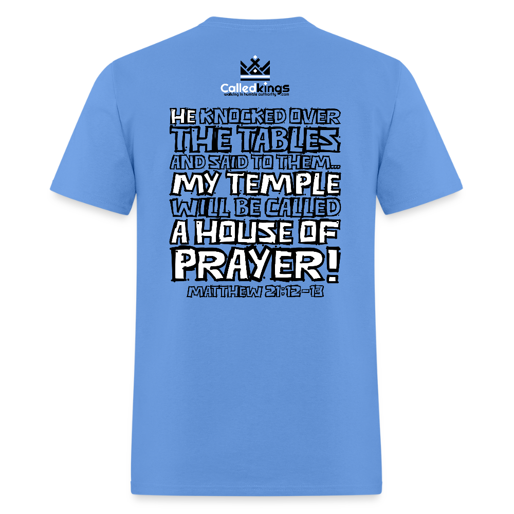 Jesus Flipped - carolina blue