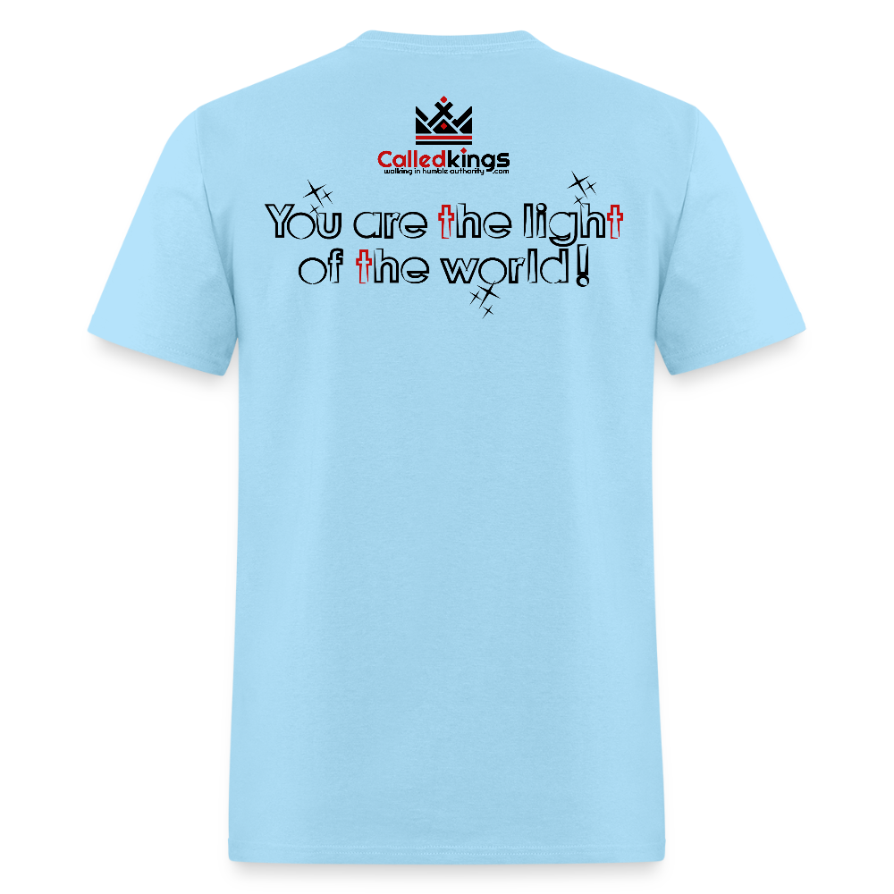 Shiney - powder blue