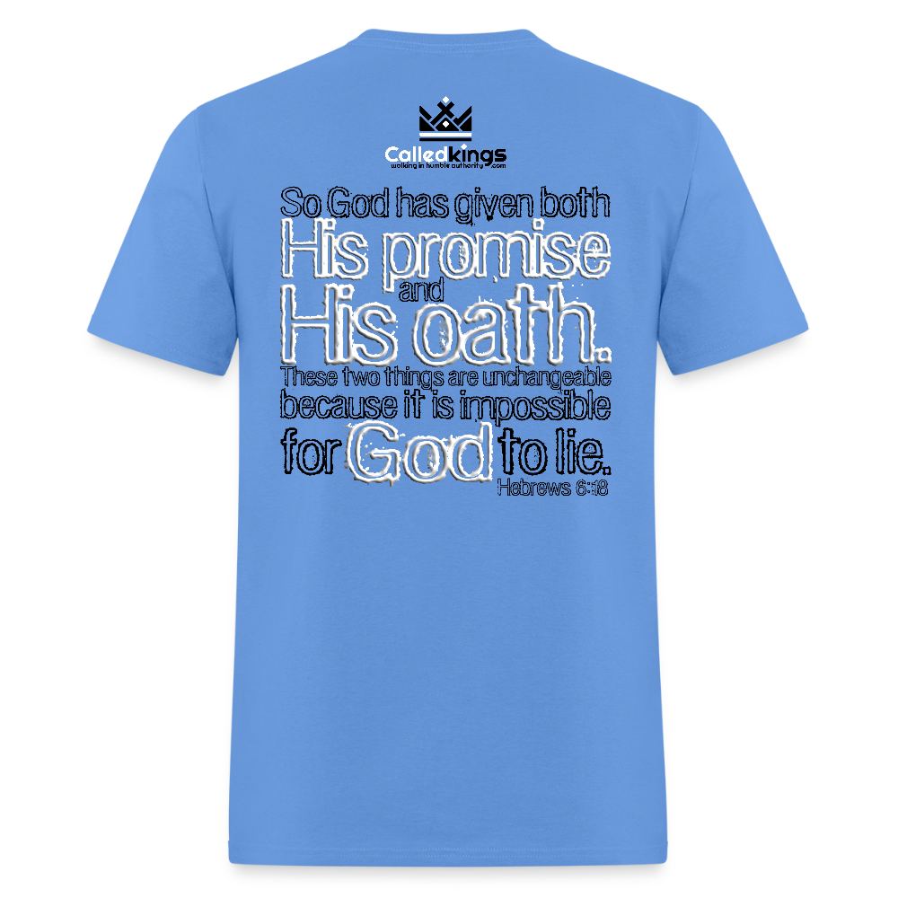 God Can't Lie - carolina blue