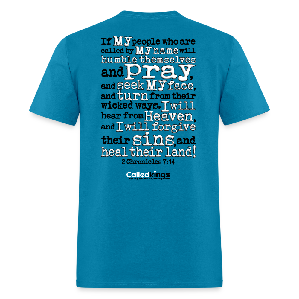 Heal Our Land - turquoise
