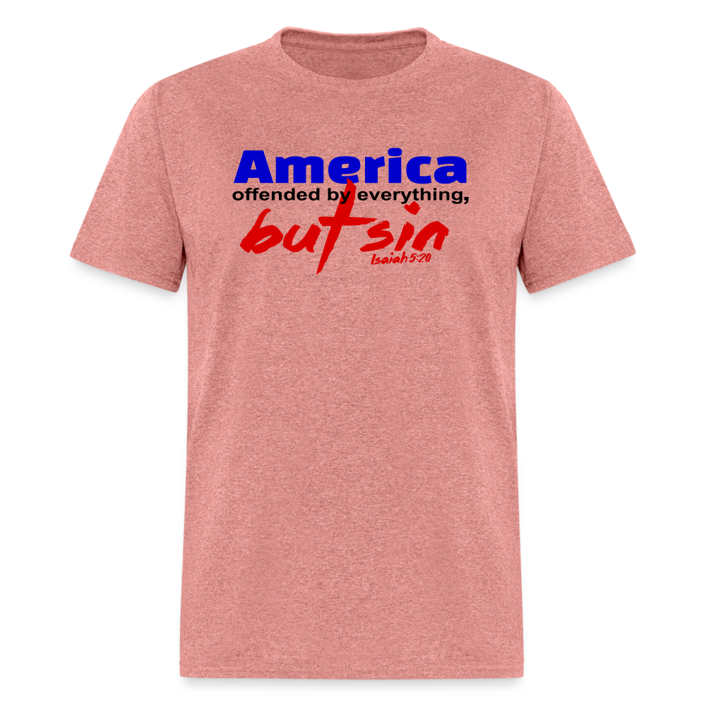America Offended by Everything But Sin - heather mauve