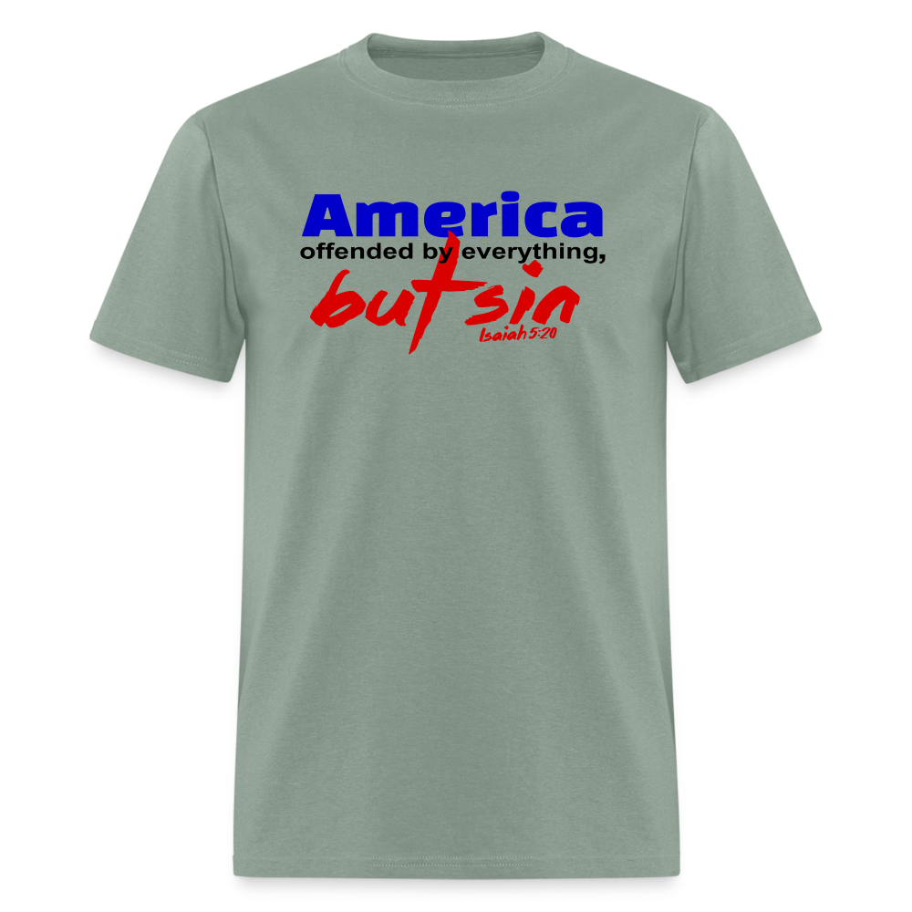 America Offended by Everything But Sin - sage