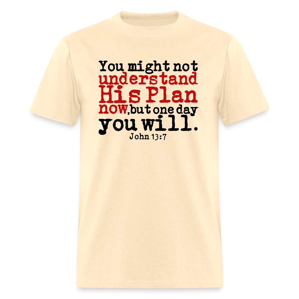 Understand His Plan Now - natural