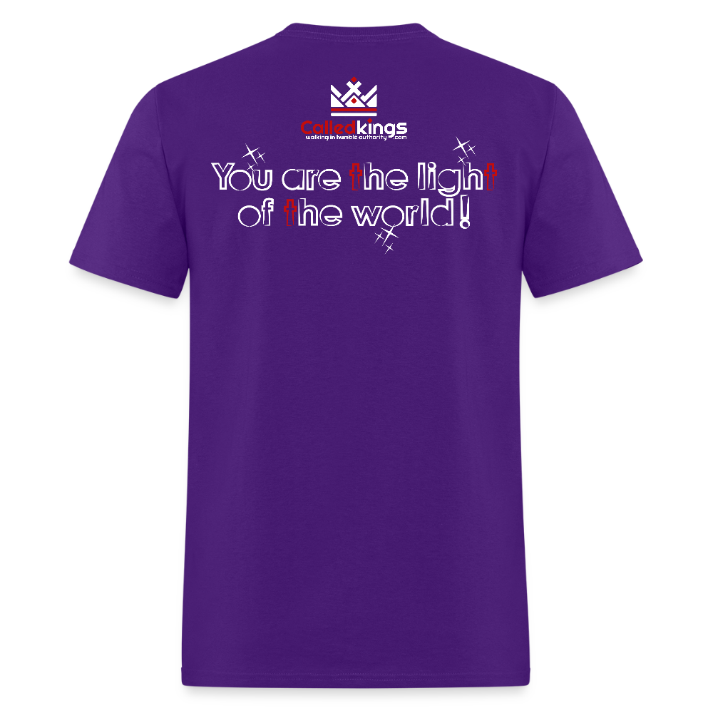 Shiney - purple