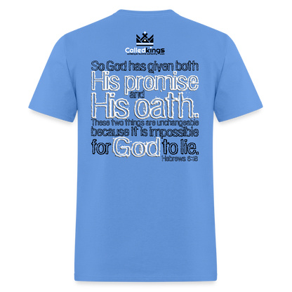 God Can't Lie - carolina blue