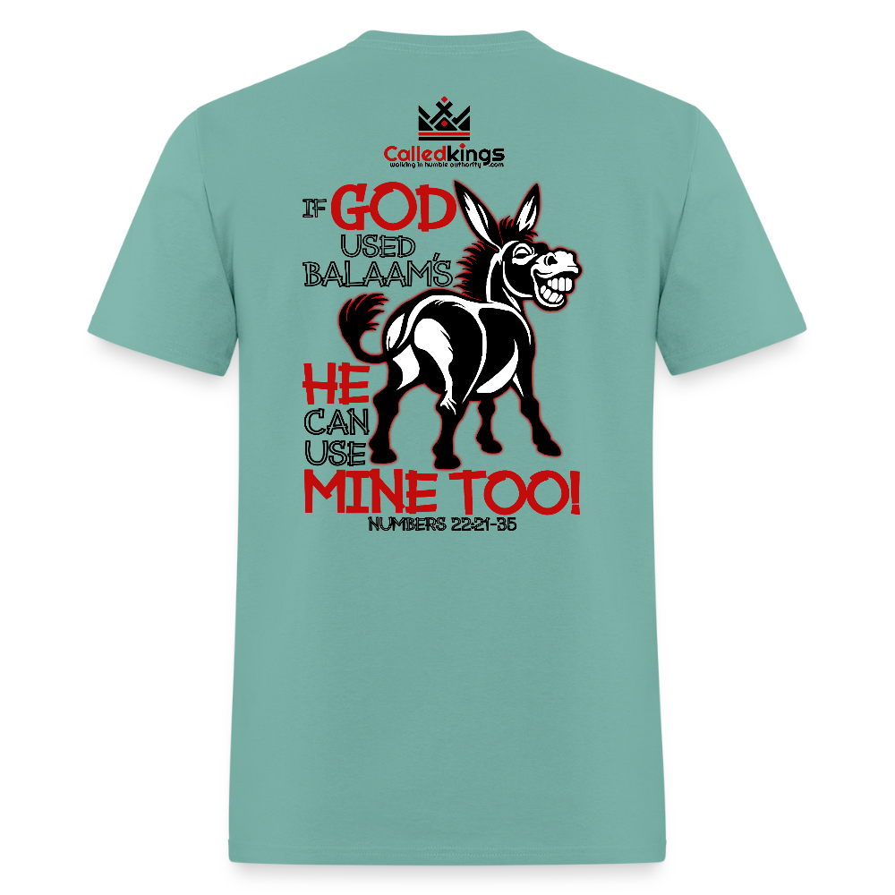 Balaam's Donkey - aquatic