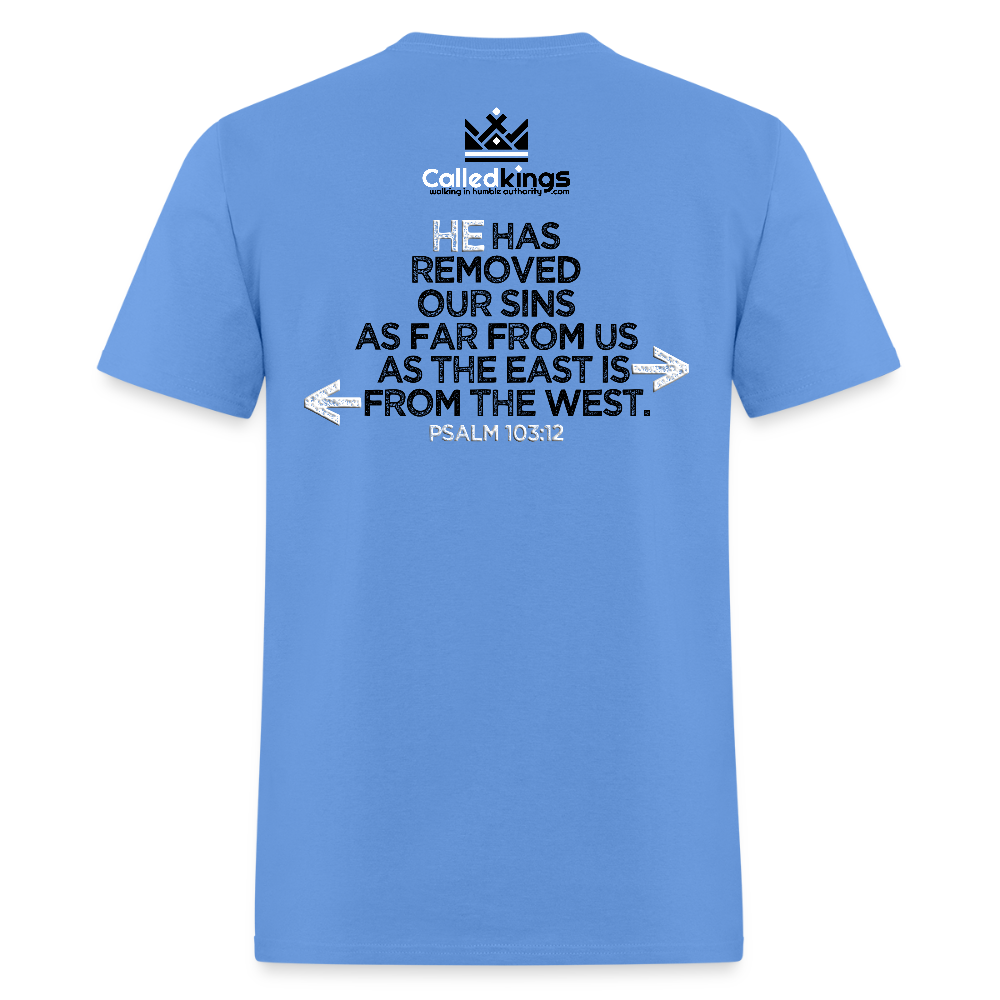 Many Reasons Not to Love Me - carolina blue