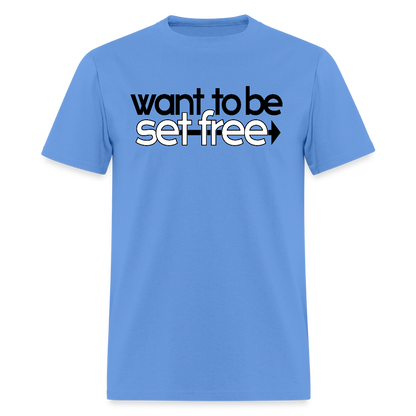 WTBSF? Devour His Word - carolina blue