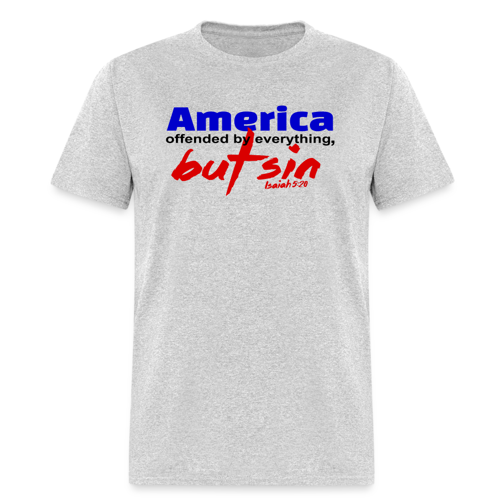 America Offended by Everything But Sin - heather gray